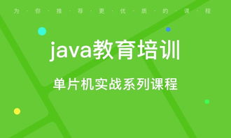 石家庄软件开发培训 学校选择与网络技术服务趋势解析
